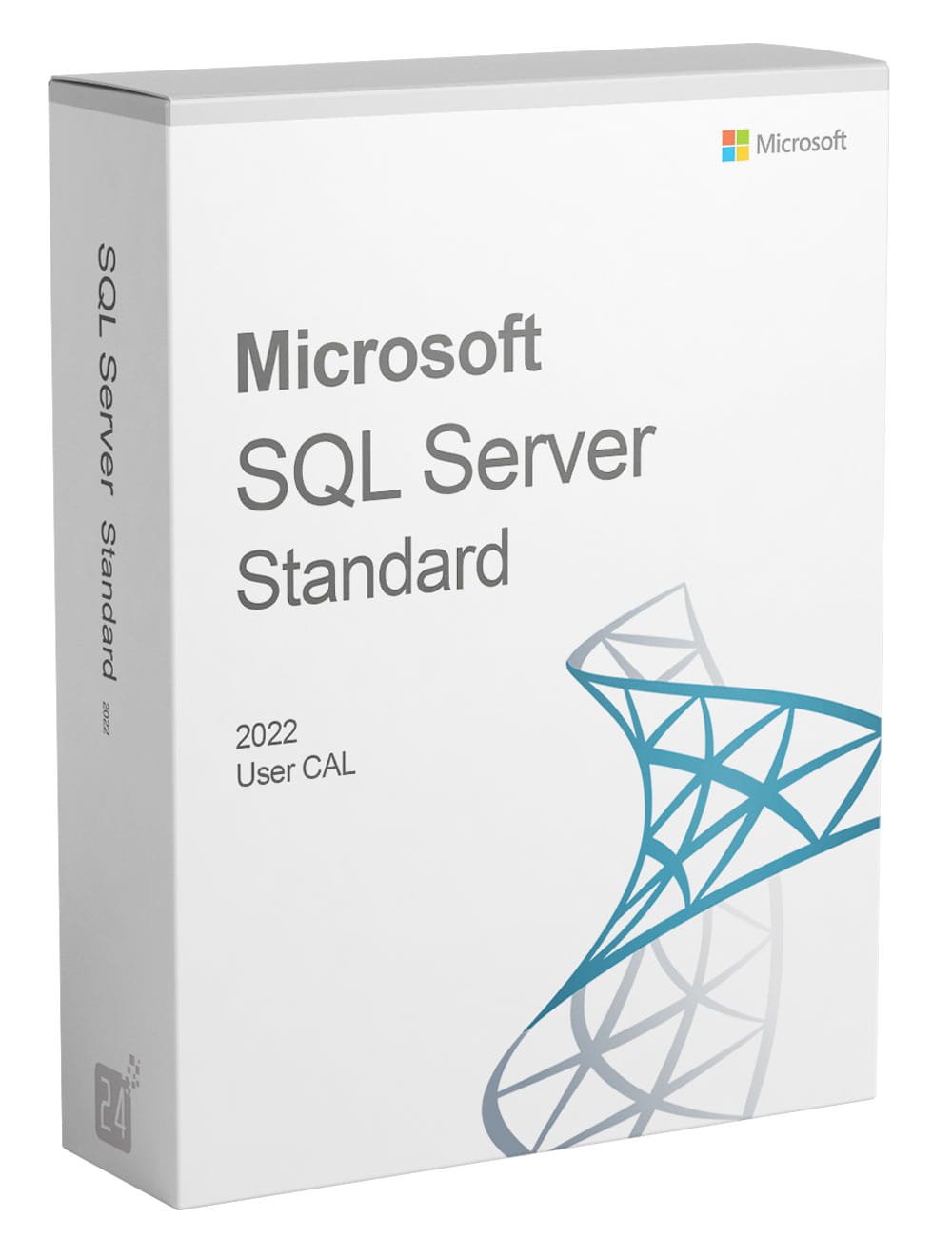 SQL Server 2022 Standard + 10 User CALs
