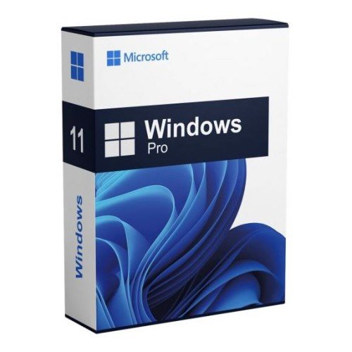 Windows 11 Pro (OEM License)